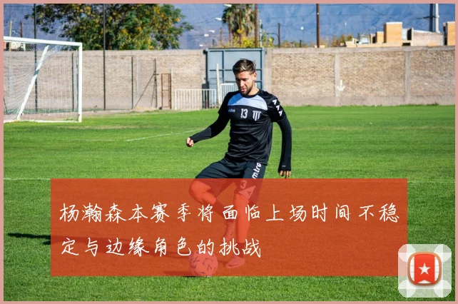 杨瀚森本赛季将面临上场时间不稳定与边缘角色的挑战